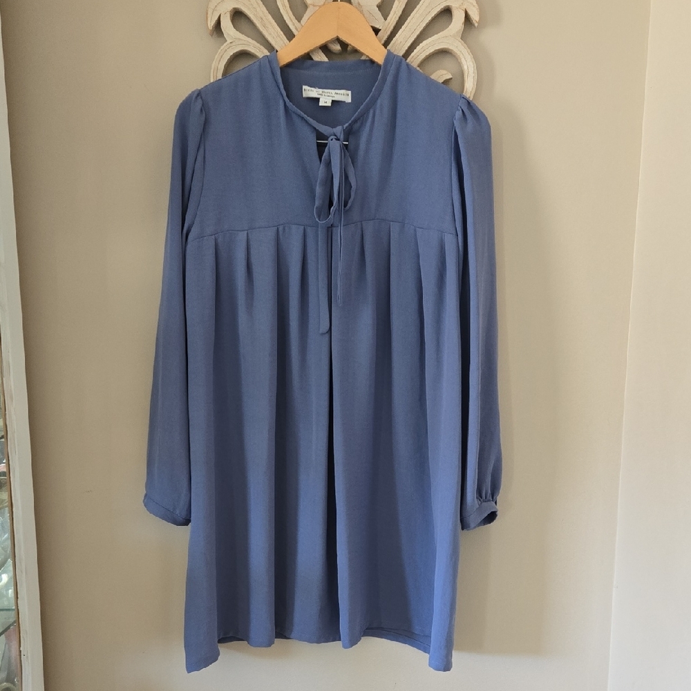 Birds Of North America Periwinkle Duck Dress Size Medium